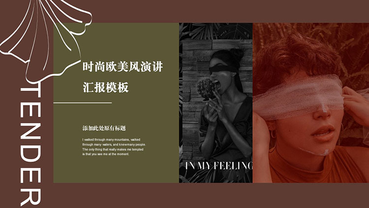 时尚欧美风演讲汇报PPT模板