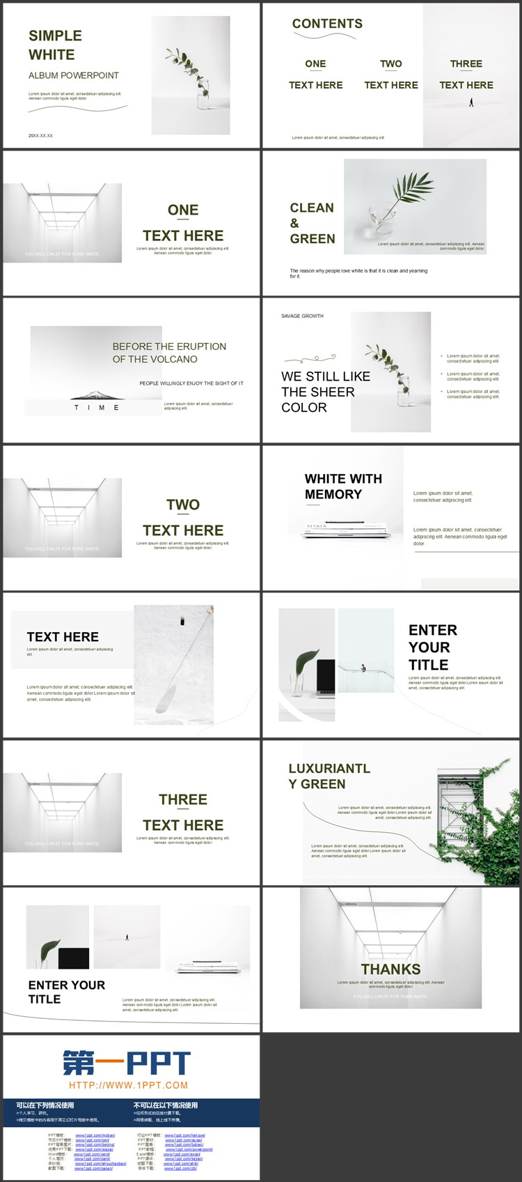 简约绿植背景欧美相册PPT模板