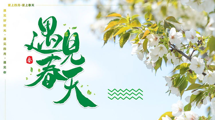 绿色清新桃花背景“遇见春天”植物系商务汇报PPT模板