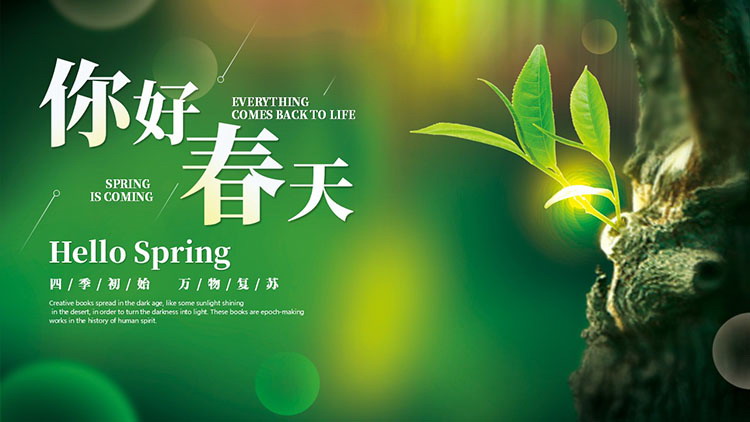 绿色清新嫩芽背景你好春天PPT模板