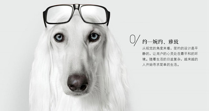 简约PPT设计要点