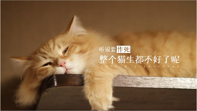 PPT动画效果基础设置教程