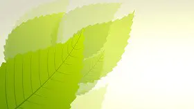 淡雅水彩叶子背景图片课件PPT模板