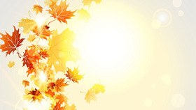 小花花朵花边背景图片主题PPT模板（古典版）