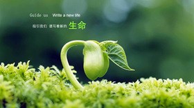 小花花朵花边背景图片主题PPT模板（古典版）
