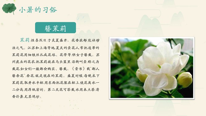 精美款小暑活动PPT模板