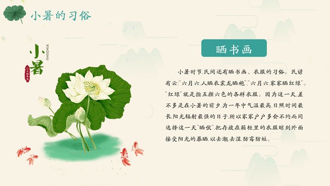 精美款小暑活动PPT模板