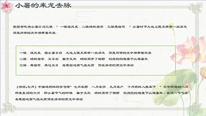 【大气】小暑专题课件PPT模板