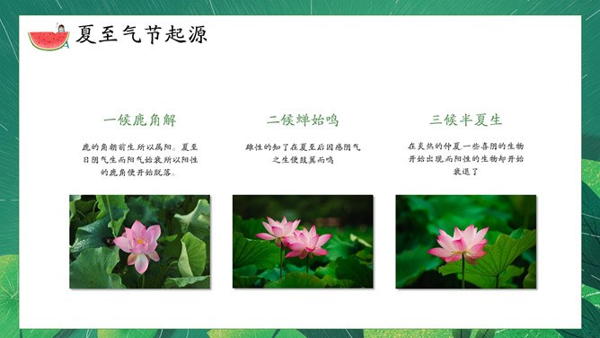 夏至主题PPT模板（精美版）