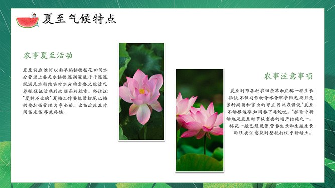 夏至主题PPT模板（精美版）