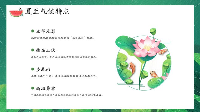 夏至主题PPT模板（精美版）
