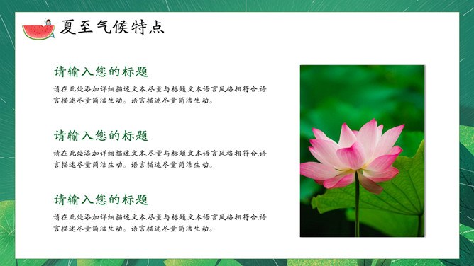 夏至主题PPT模板（精美版）