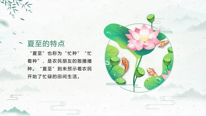 简约款夏至活动PPT模板
