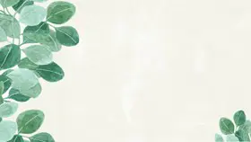 绿叶绿色植物叶子PPT背景图片-清新绿植 满屏生机