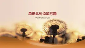 森林树林背景图片模板(大气风格)
