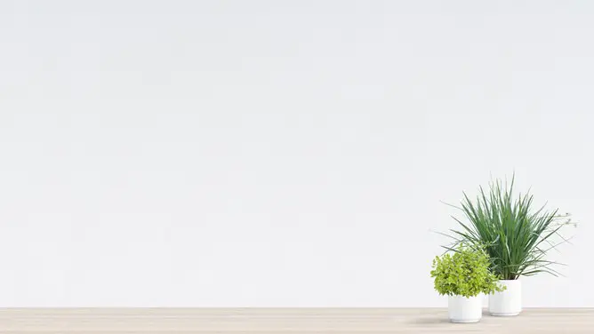 植物绿植背景图片主题PPT模板(国风版)