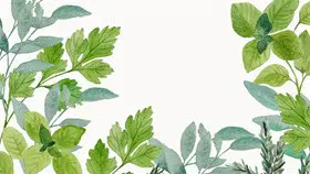 植物绿植背景图片主题PPT模板(国风版)