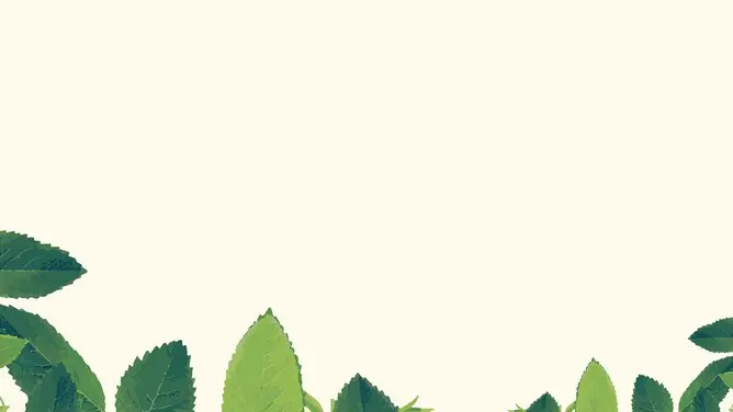 水彩绿色叶子PPT背景-水彩绿叶 清新画意