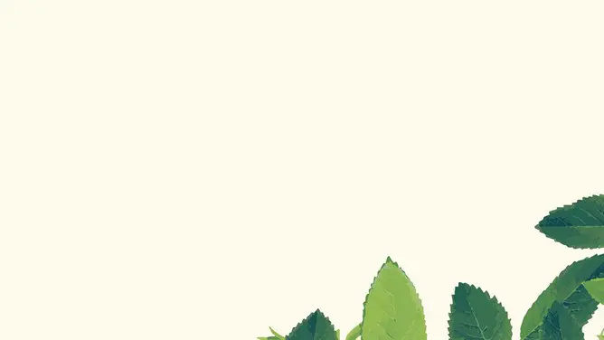 水彩绿色叶子PPT背景-水彩绿叶 清新画意