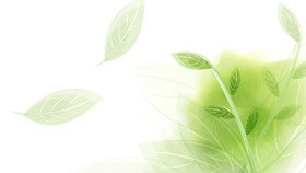 多彩艺术水滴效果背景知识介绍PPT模板(喜庆)