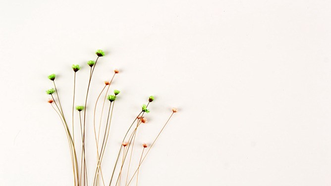 花束碎花背景图片知识介绍PPT模板（国风）