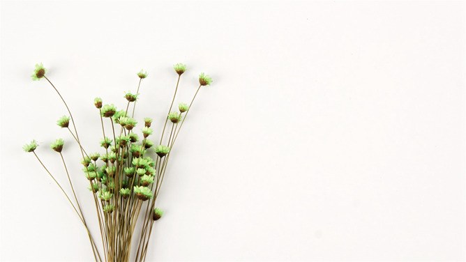 花束碎花背景图片知识介绍PPT模板(国风)