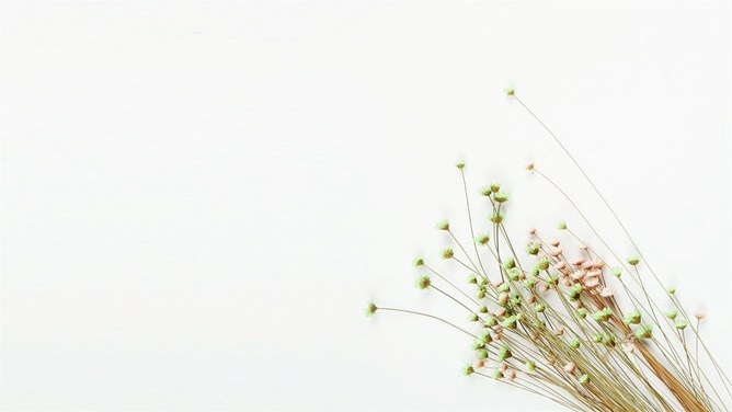 花束碎花背景图片知识介绍PPT模板(国风)