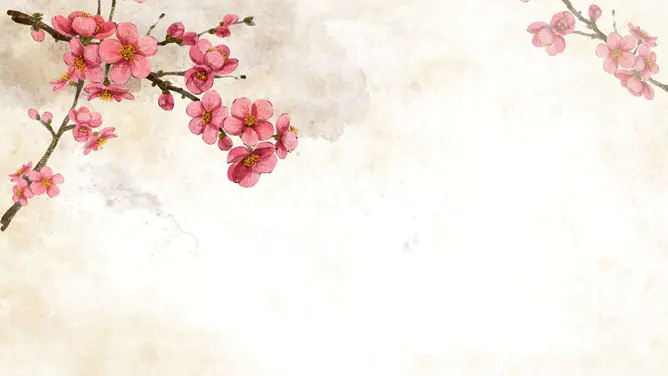 花朵花卉背景图片知识介绍PPT模板(古典)