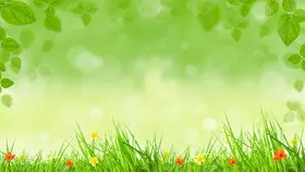 花朵花卉背景图片知识介绍PPT模板(古典)
