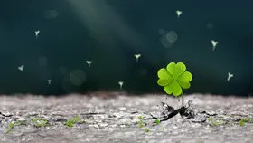 竹子背景图片模板(高清风格)