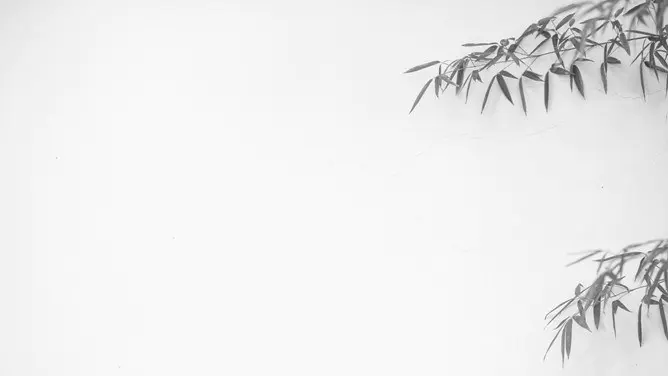 竹子背景图片模板(高清风格)