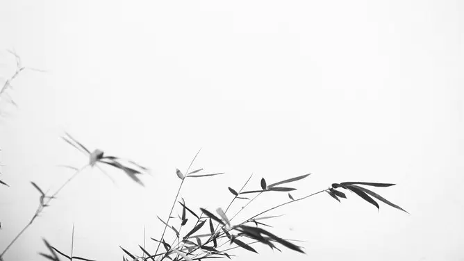竹子背景图片模板(高清风格)