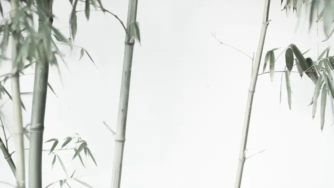 竹子背景图片模板(高清风格)