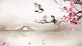 背景图片合集(二)知识介绍PPT模板(精美)