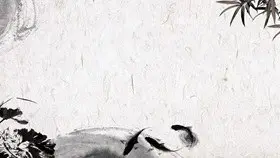 背景图片合集(二)知识介绍PPT模板(精美)