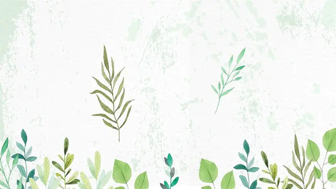 清新绿色叶子植物PPT背景图片-绿叶清新 自然生趣