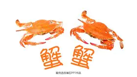 极简方框结束语页素材模板(喜庆风格)