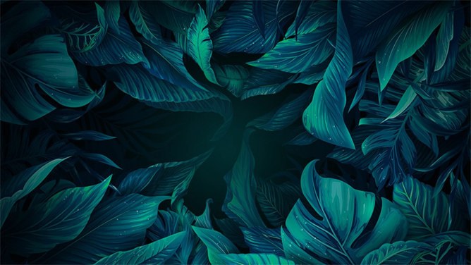 养眼绿色植物PPT背景图片-绿植养眼 满屏清新