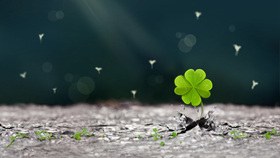 养眼绿色植物PPT背景图片-绿植养眼 满屏清新