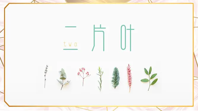 创意淡雅清新叶子模板(精美风格)