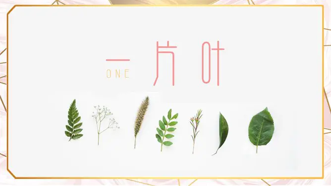 创意淡雅清新叶子模板(精美风格)