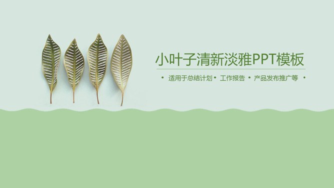淡雅绿色小叶子知识介绍PPT模板（喜庆）