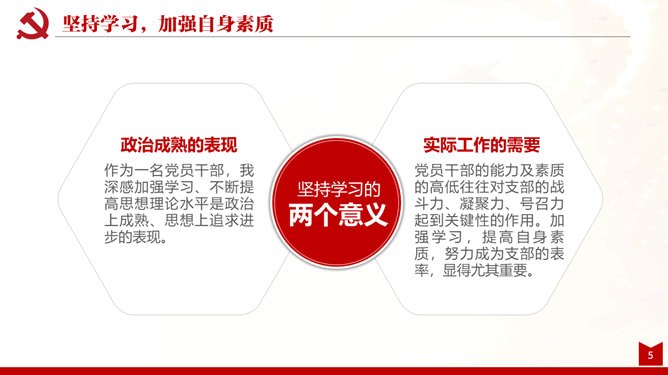 支部述职述廉述责报告节日介绍PPT模板（通用版）