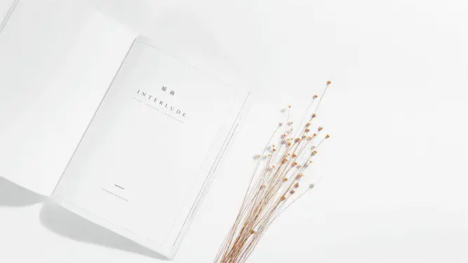 淡雅文艺桌面背景图片知识介绍PPT模板(高清)
