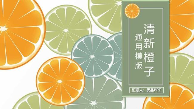 水果橙子片柠檬片模板(简约风格)