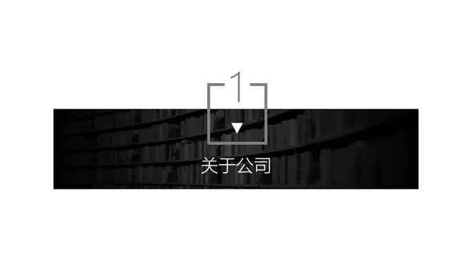 个性素雅黑灰商务模板(精美风格)