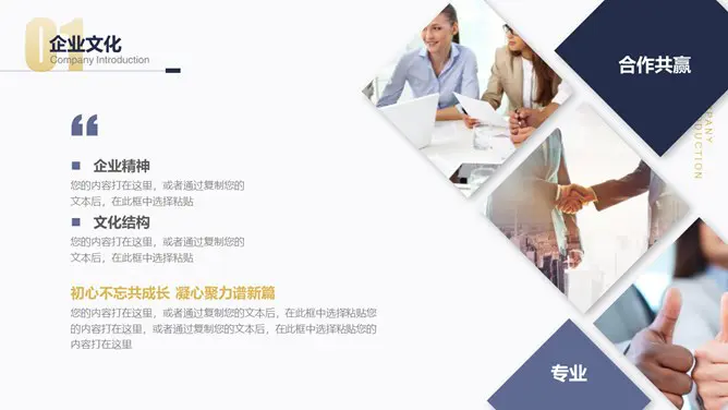 公司介绍简介知识介绍PPT模板(大气)